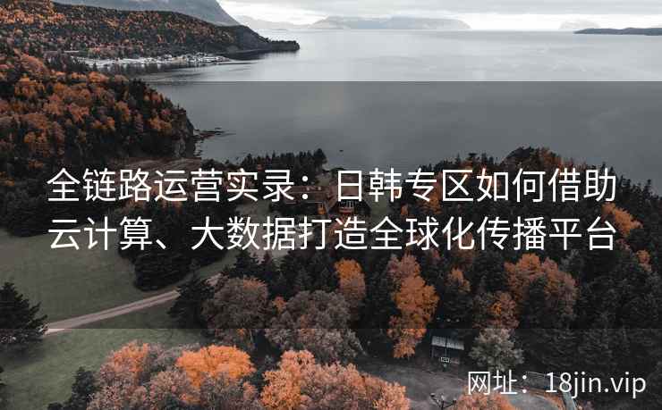 全链路运营实录：日韩专区如何借助云计算、大数据打造全球化传播平台