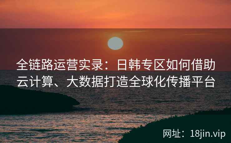 全链路运营实录：日韩专区如何借助云计算、大数据打造全球化传播平台