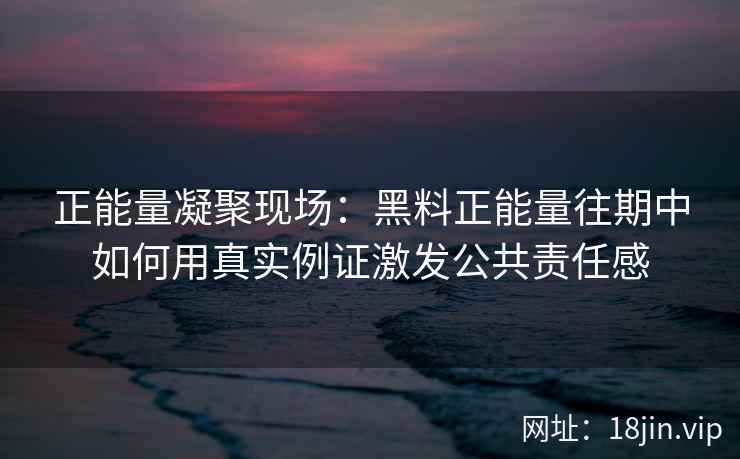 正能量凝聚现场：黑料正能量往期中如何用真实例证激发公共责任感