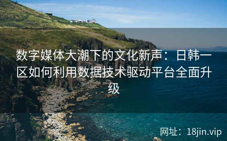 数字媒体大潮下的文化新声：日韩一区如何利用数据技术驱动平台全面升级