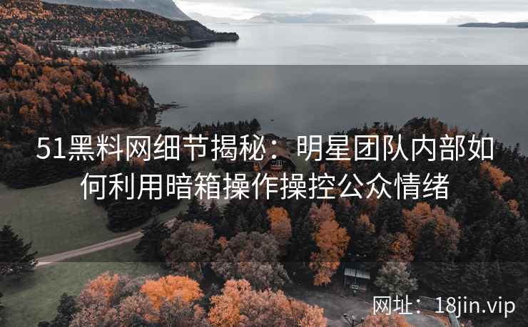 51黑料网细节揭秘：明星团队内部如何利用暗箱操作操控公众情绪