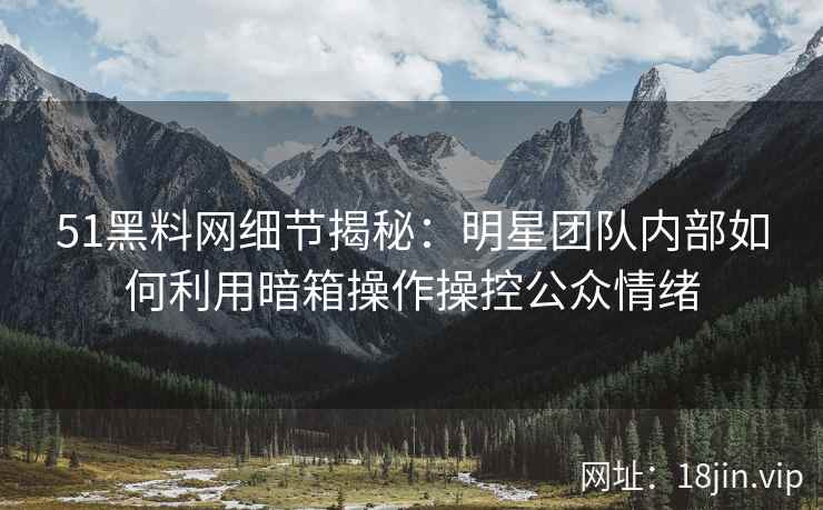 51黑料网细节揭秘：明星团队内部如何利用暗箱操作操控公众情绪