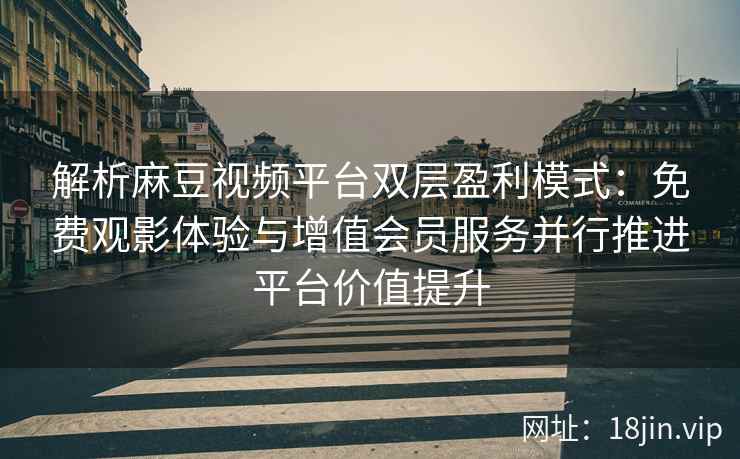 解析麻豆视频平台双层盈利模式：免费观影体验与增值会员服务并行推进平台价值提升